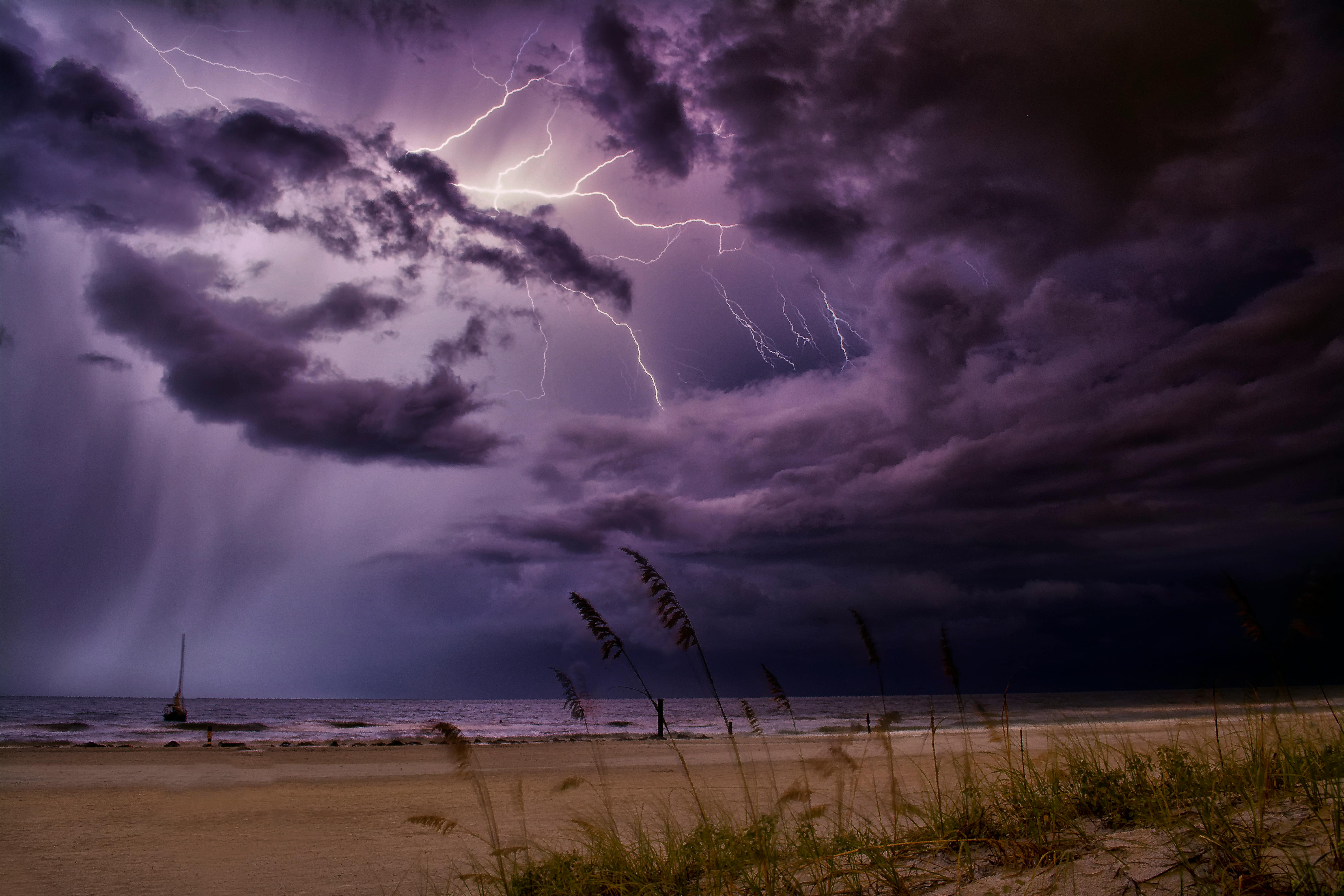 florida landscape