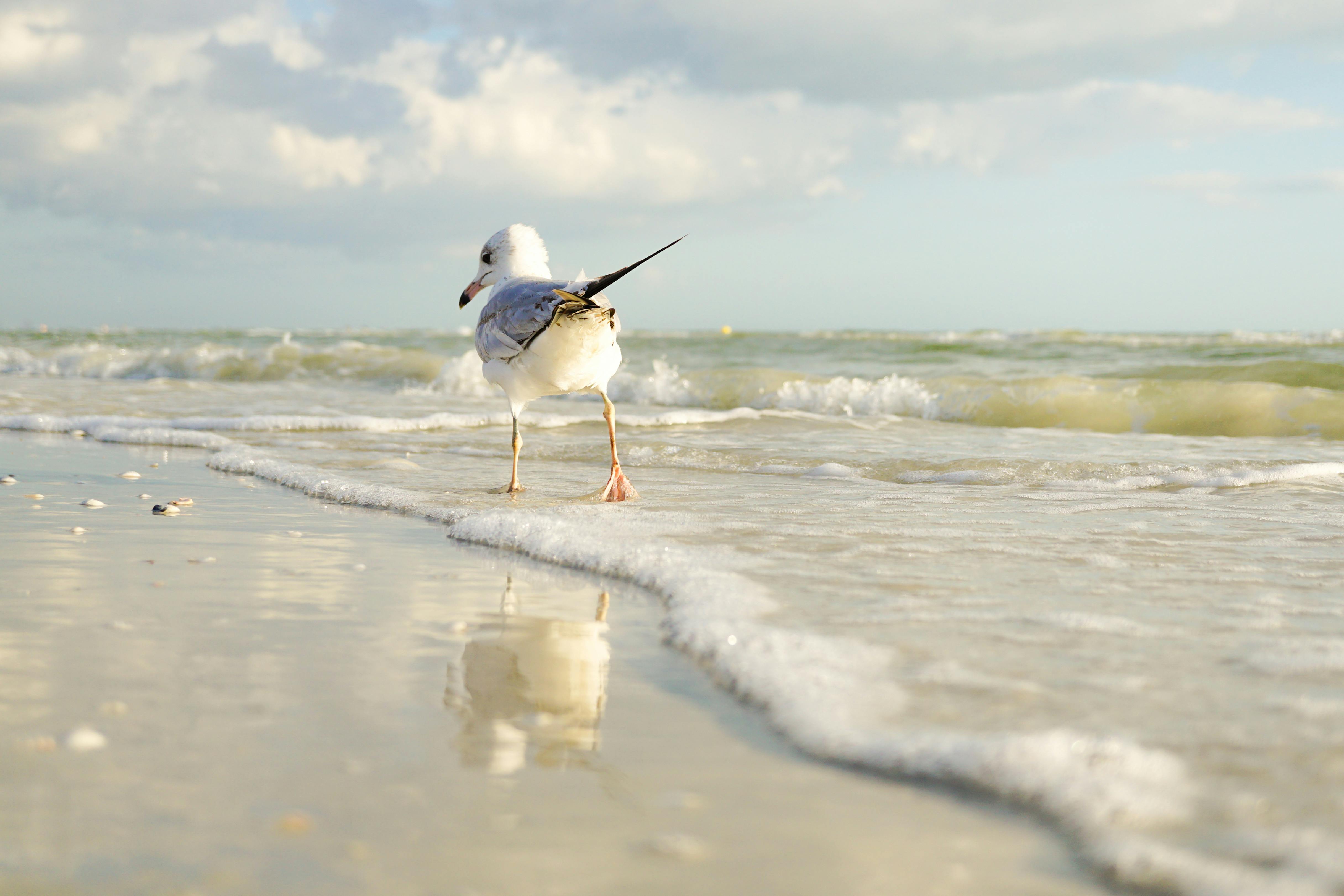 florida landscape